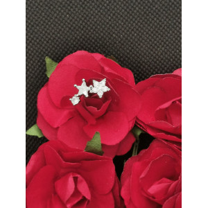 Piercing Etoilé  avec 3 taille différentes en titane et zirconium