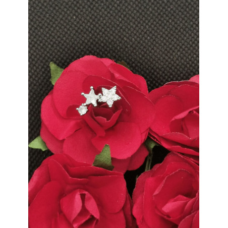 Piercing Etoilé  avec 3 taille différentes en titane et zirconium