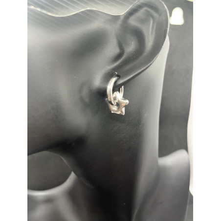 Boucles D'Oreilles Etoilé en acier inoxydable.