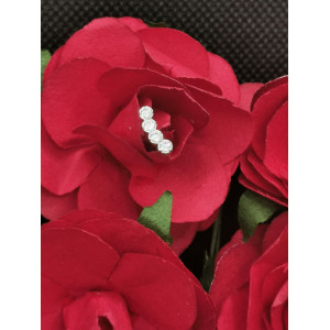 Piercing  Mona avec attache plate en titane